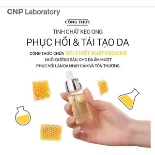 Dưỡng chất serum keo ong CNP Propolis Energy Ampule