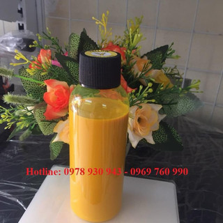 Mực không phai Pigment UV 100ml