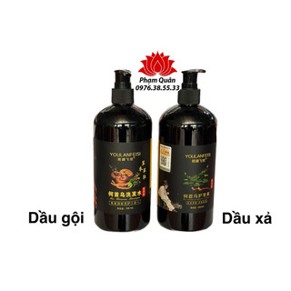 Cặp dầu gội thảo dược hà thủ ô- linh chi 500ml