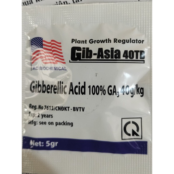 GIB - ASIA 40TB/5GR (VIÊN SỦI GA3 Á CHÂU)