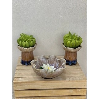 Ly Đựng Quả Phật Thủ Bày Ban Thờ