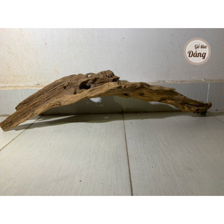 [60 - 90cm] Gỗ lũa thủy sinh, gỗ lũa hồ cá, lũa non bộ kích thước lớn, siêu đẹp