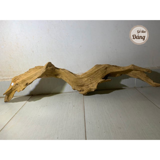 [60 - 90cm] Gỗ lũa thủy sinh, gỗ lũa hồ cá, lũa non bộ kích thước lớn, siêu đẹp