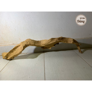 [60 - 90cm] Gỗ lũa thủy sinh, gỗ lũa hồ cá, lũa non bộ kích thước lớn, siêu đẹp