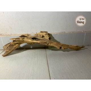 [60 - 90cm] Gỗ lũa thủy sinh, gỗ lũa hồ cá, lũa non bộ kích thước lớn, siêu đẹp
