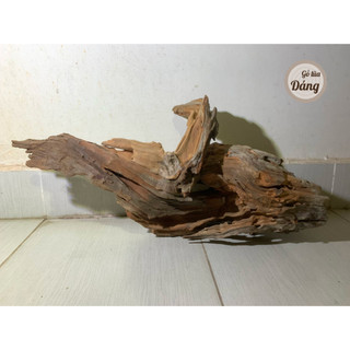 Gỗ lũa thủy sinh, gỗ lũa bể cá cho bể cỡ vừa và lớn