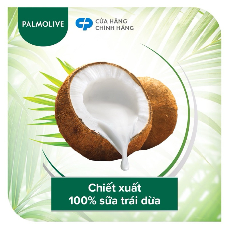 60 gói Dầu gội trái dừa Palmolive siêu mềm mượt