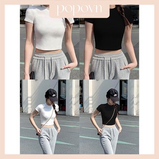 Áo Croptop Tay Ngắn, Áo Thun Nữ Croptop Cổ Tròn Thun Tăm Co Dãn 4 Chiều