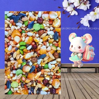 Thức Ăn Hamster Orchid Hạt Ngũ Cốc Nhập Khẩu Dinh Dưỡng