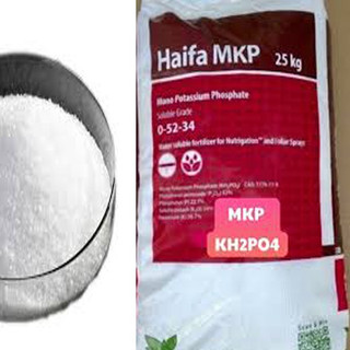 Gói 100g -siêu kích hoa - tạo mầm hoa - mkp haifa 0-52-34