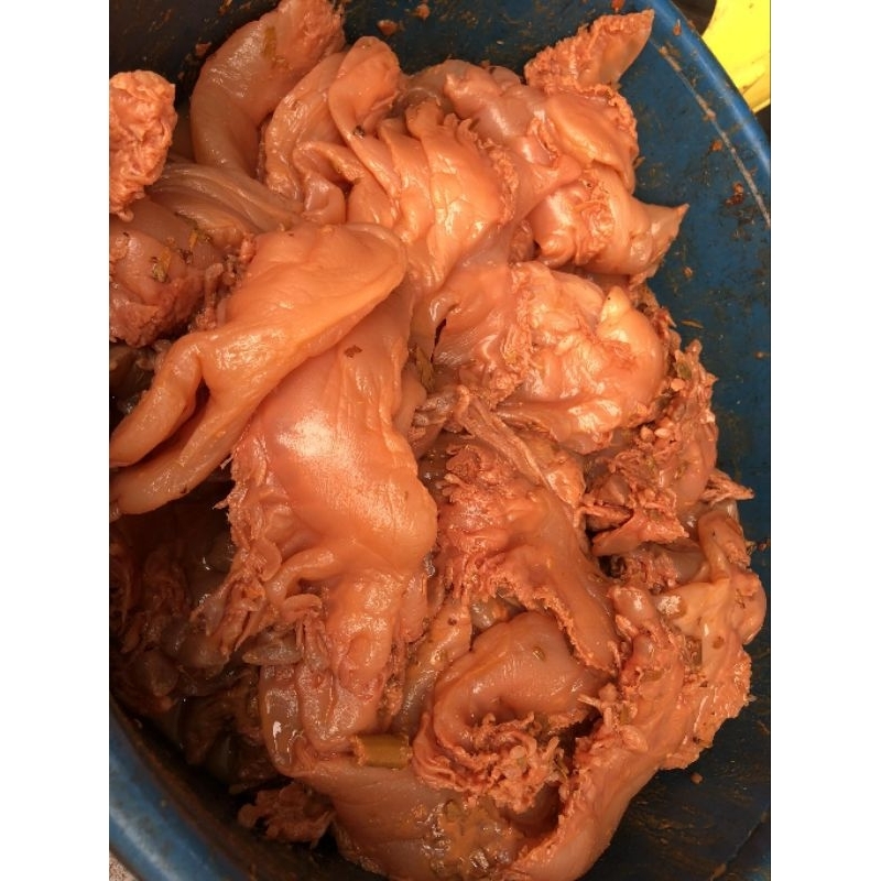 Chân sứa muối vẹt 500g