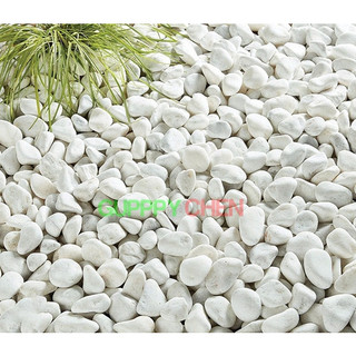 Sỏi trắng trang trí hồ cá chậu cây tiểu cảnh