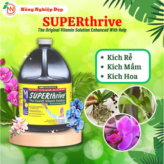 SUPERthrive Gallon xách tay Mỹ 100% - Hoocmon tăng trưởng số 1 USA