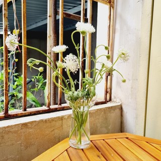Lọ hoa thủy tinh/ Lọ hoa nhỏ decor phong cách Bắc Âu vintage cao 15cm