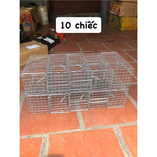 Combo 10 lồng bẫy chuột 10x10x20cm sóng.