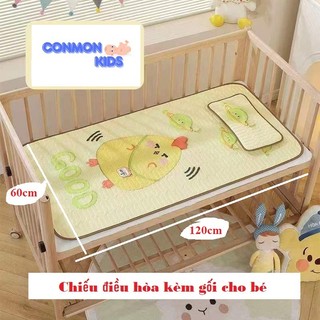 Chiếu Điều Hòa cho bé Tặng Kèm Gối cao su non chiếu 5D Thoáng Mát Cho Bé Từ Sơ Sinh. thảm điều hòa cho bé