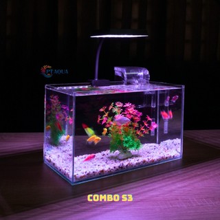 Bể cá mini để bàn 30x15x18  Nhiều Mẫu phù hợp nuôi cá cảnh mini để bàn
