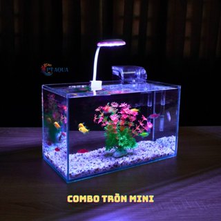 Bể cá mini để bàn COMBO Chọn mẫu 30x15x18cm để bàn nhỏ gọn phù hợp nuôi cá cảnh mini