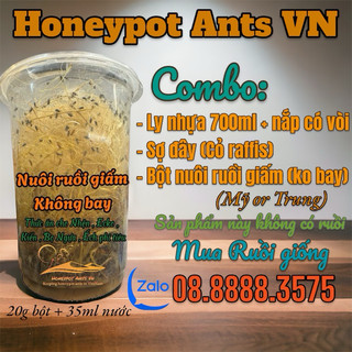 Combo Bột Nuôi Ruồi Giấm / Bột Nuôi Ruồi giấm / Bột Nuôi ruồi giấm không bay / Thức Ăn Côn Trùng và Bò Sát