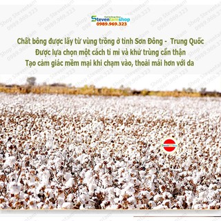 Tăm bông thân tre 2 đầu