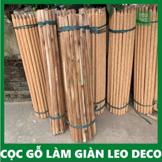 Combo 30 cây gỗ dùng làm giàn cây leo, decor trang trí vườn (kt 130x3cm)