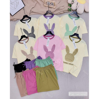  Đồ bộ đùi thun chất cotton mịn in hình + in chữ nhiều màu xinh