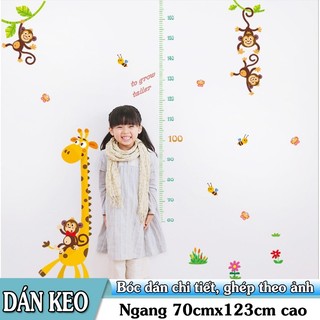 Decal trang trí tường - thước đo Hươu Nâu dây leo khỉ