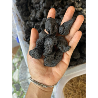 Thục địa nấu sâm lạnh. Hàng độc quyền Vị sâm