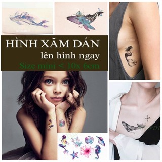 [Đọc kỹ mô tả] Hình dán tạm thời BST nàng tiên cá, cá voi, cá heo, sứa biển. Xăm dán tatoo mini tạm thời, size <10x6cm