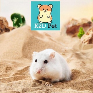 Cát sa mạc làm lót chuồng, cát tắm, decor lồng cho hamster, bò sát, nhím, gà rutin và thú cưng nhỏ