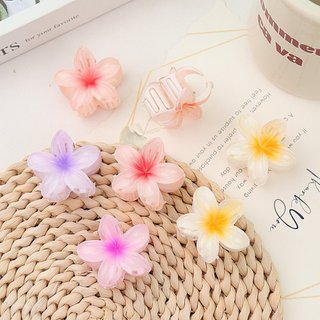 Kẹp tóc hoa sứ hottrend bắt trend tiktok mẫu mã đa dạng màu sắc