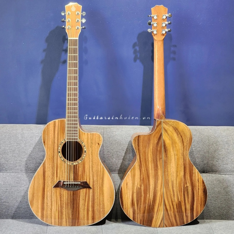 Đàn Guitar Acoustic Full Gỗ Điệp Già Sv - Fa5
