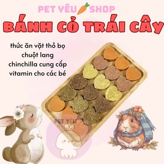 Bánh cỏ trái cây 🐻 FREESHIP🐻 thức ăn vặt thỏ bọ chuột lang chinchilla