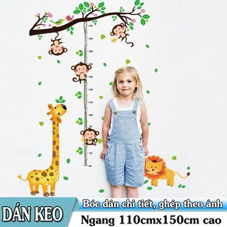 Decal thước đo hươu cao cổ và các bạn