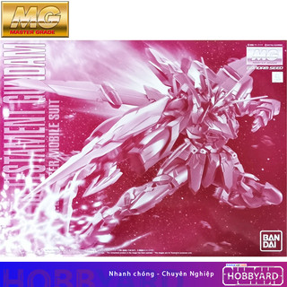 Mô hình lắp ráp bandai mg 1/100 testament gundam pb limited