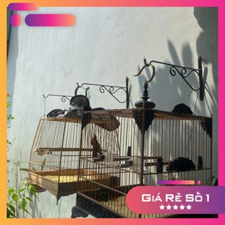  Móc treo lồng chim móc treo lồng chim gắn tường sắt và phun sơn tĩnh điện 40cm 