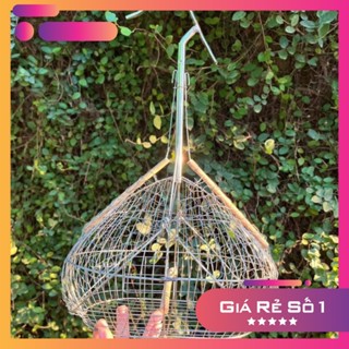  Lồng bẫy  chim khuyên chất liệu inox giá rẻ siêu nhạy Bẫy chim hút mật - Khuyên giá rẻ Lụp bẫy chim 