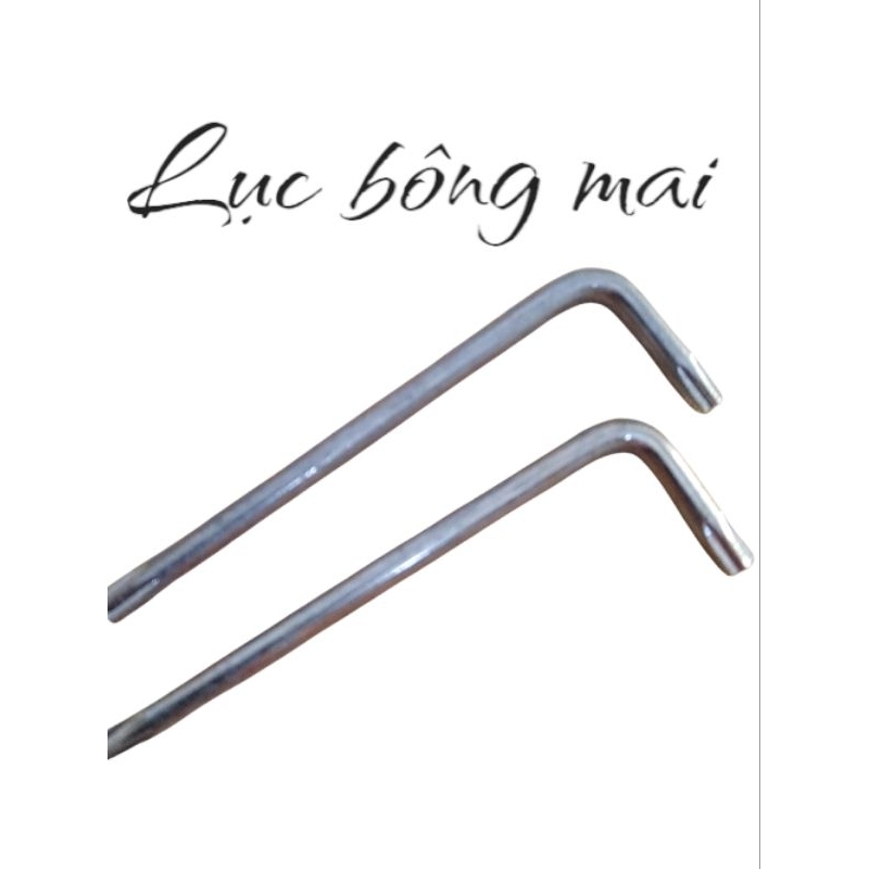 lục giác vít bông mai