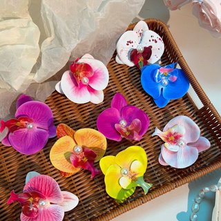 Kẹp Hoa Lan Cao Su Cao Cấp Size Vừa Và To Nhiều Màu