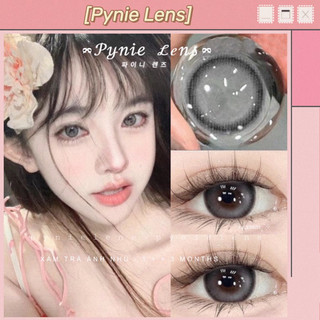 ✨ Lens Hush - xám trà viền mỏng nhẹ tự nhiên | Pynie lens ✨