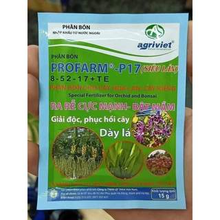 Siêu Lân Nhập Khẩu BỈ P17