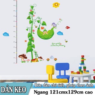 Decal trang trí cây hạt đậu có thước đo chiều cao cho trẻ