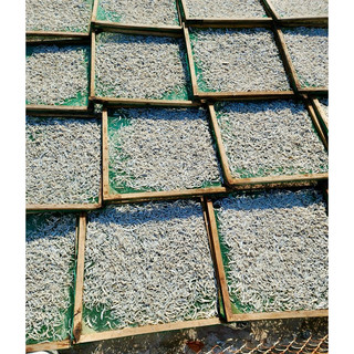 KHÔ CÁ CƠM MỜM SỮA DỐC LẾT ( loại 1 ) 500gr
