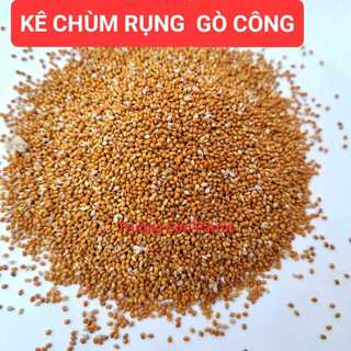 500g/1kg hạt kê chùm rụng gò công