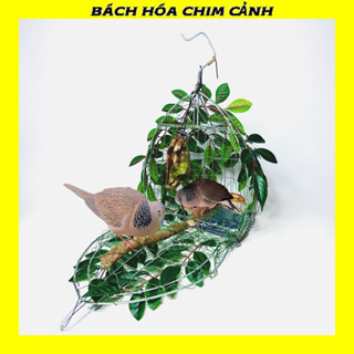 Lồng Bẫy Chim Cu Gáy Kèm Phụ Kiện Siêu Nhạy