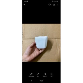 Chậu Sứ Bát Tràng Giá Sỉ ( Giao Màu Ngẫu nhiên)