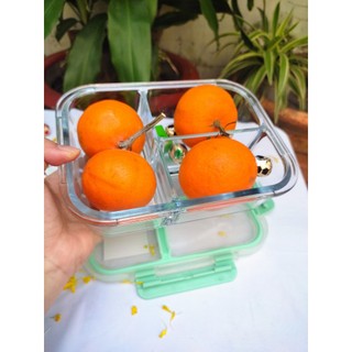 Hộp thủy tinh chia ngăn Lock&Lock
