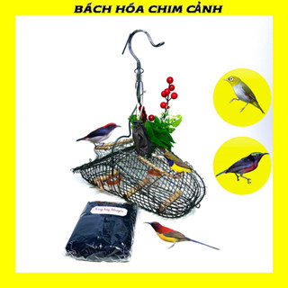  Lồng Bẫy Chim Khuyên Hút Mật 5 Màu 7 Màu Ốc Mít Mi Huýt Cô Sâu Loại Nhỏ Sơn Đen 