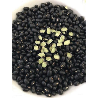 1kg Đỗ đen Xanh lòng hạt nhỏ đậu ta