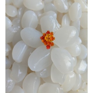 Combo 2kg Hạt đác dẻo size Trung làm đác rim, nấu chè siêu ngon